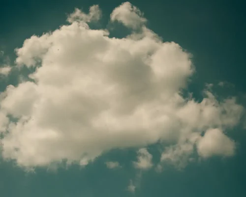 sassocorno_ecosistema_11